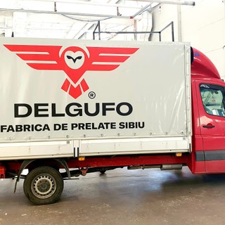 Preview image for DELGUFO