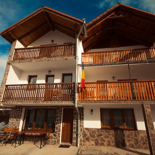 Preview image for Vila Cibin - Paltinis