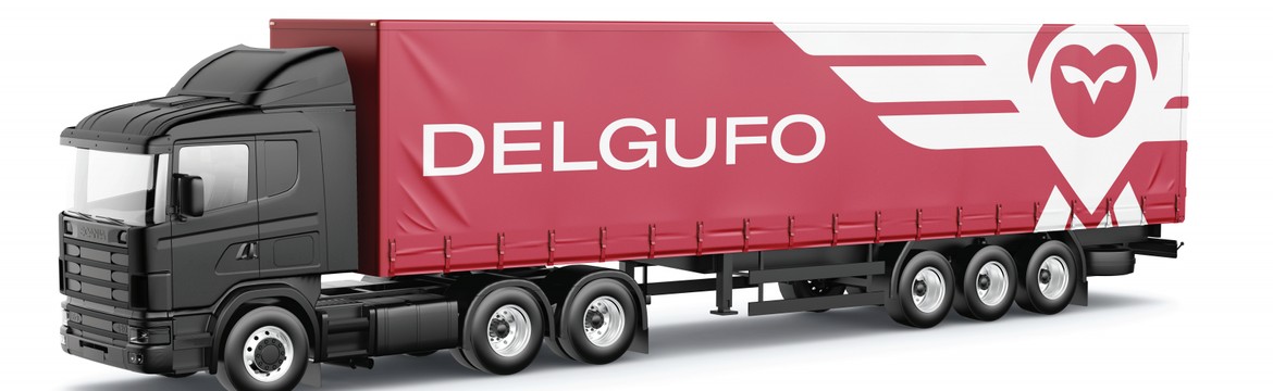 DELGUFO Cover Picture
