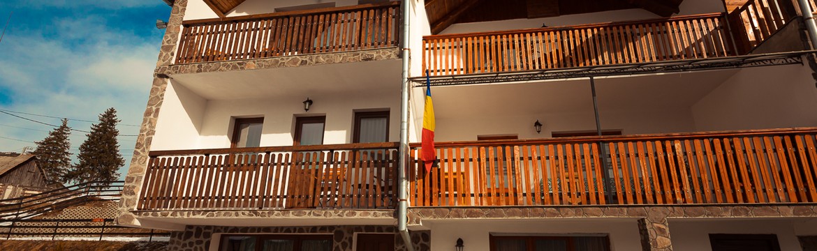 Vila Cibin - Paltinis Cover Picture