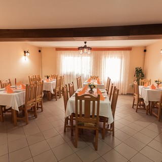 Preview image for Vila Cibin - Paltinis