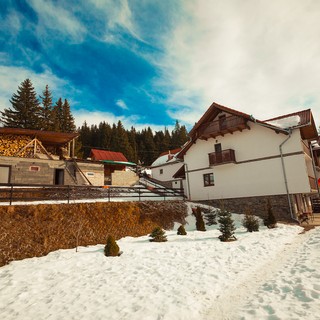 Preview image for Vila Cibin - Paltinis